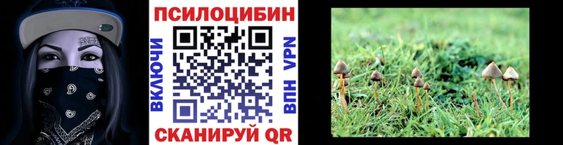 Галлюциногенные грибы мухоморы  Купить  Киржач 