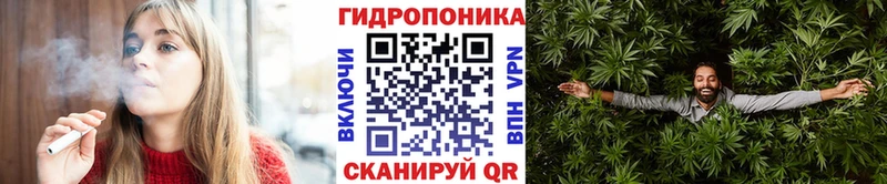 Купить закладки  Киржач  Шишки марихуана VHQ 